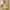 kf-S0ef4a5b9f93c43b894b9e0e44f13789dV 2026 Women Flower Strap Dress Summer Sleeveless Embossed Jacquard Backless Sling Maxi Dresses Female Casual Long Camisole Skirt