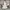 kf-S75b182f9dd784ee38dd8e11a502cb24di 2026 New French Vacation Style Cake Dress with White Lace Suspender, Backless Bow, and Large Swing Dress